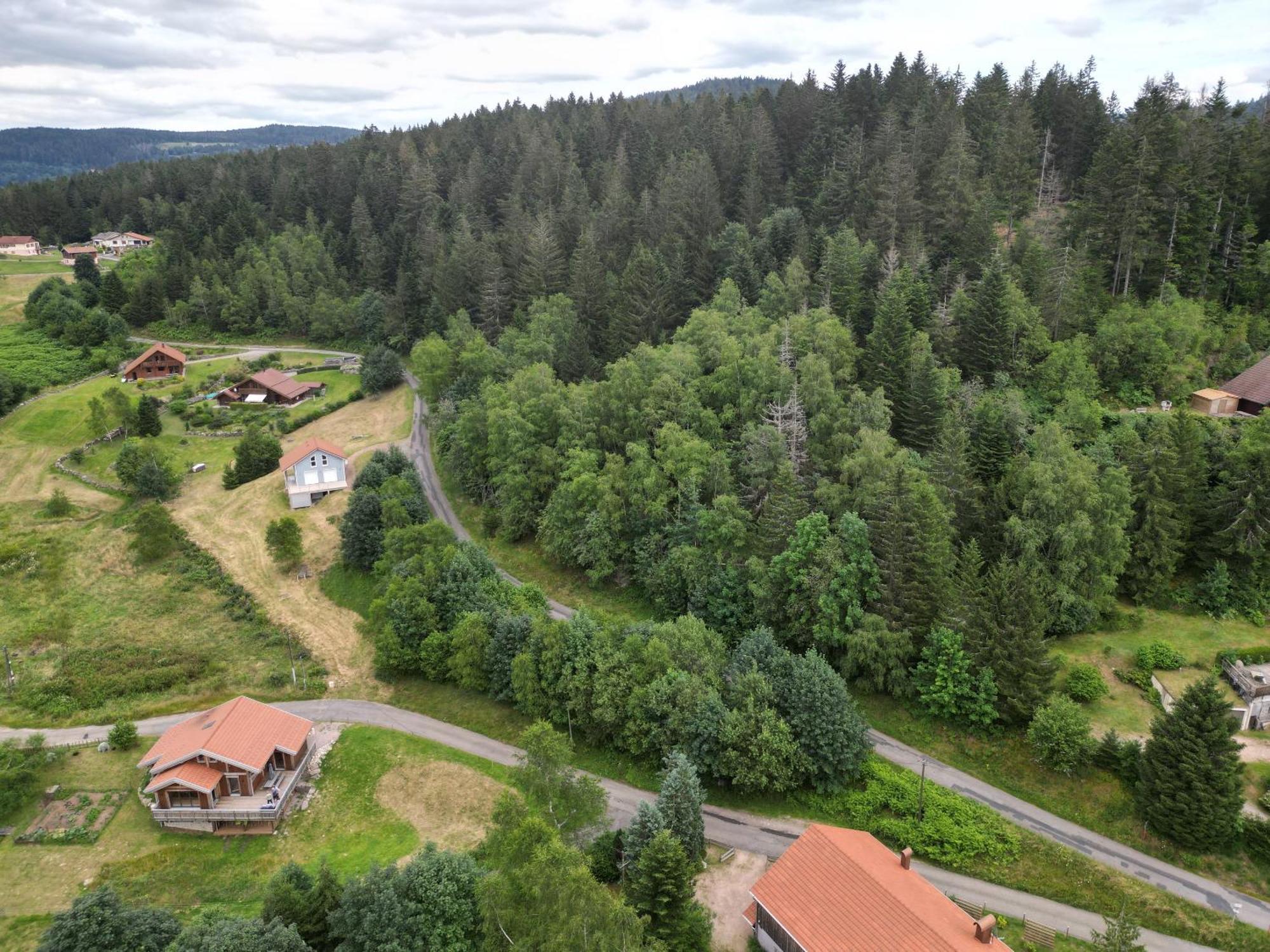 Chalet L'Appel De La Foret Жерарме Екстер'єр фото